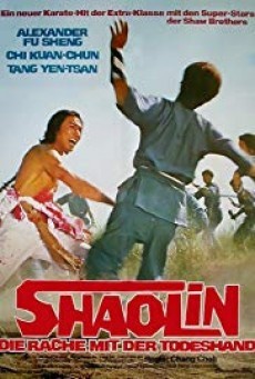 The Shaolin Avengers ไอ้หนุ่มมนุษย์เหล็ก - ดูหนังออนไลน