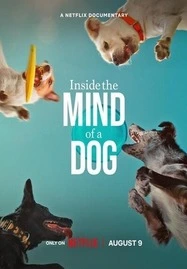 Inside the Mind of a Dog อ่านใจสุนัข (2024) - ดูหนังออนไลน